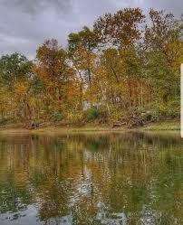 Come explore life in lake of the woods and discover your retreat into nature's finest elegance. Oliver S Woods Central Indiana Land Trust
