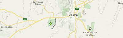 best wild flowers trails in cooma