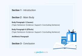 cause and effect essay outline format