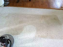 carpet cleaning reviews manas va