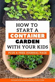 how to start a container garden with