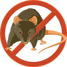 Mighty Men Pest Control - Rodents, Rats, Mice - San Mateo