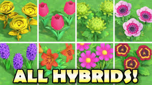 all hybrid flowers in crossing