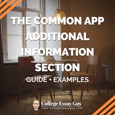 For example, you could potentially. How To Use The Common App Additional Information Section Guide Examples