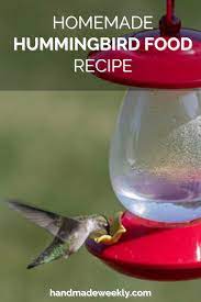 homemade hummingbird food recipe