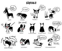 Obedience Training Hand Signals Related Keywords