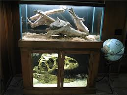 aquariums carpet python cage completed