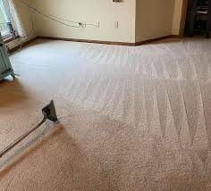 the 1 carpet cleaning in houston tx