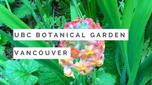 ubc botanical garden in vancouver