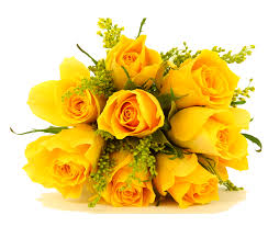 yellow rose flower bouquet png image