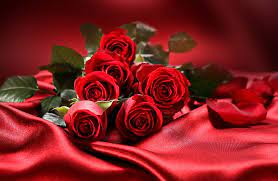 hd wallpaper red roses love flowers