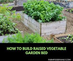 raised vegetable garden bed ideas