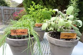 An Easy Tabletop Diy Herb Garden Decoist