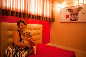 Animalle Mundo Pet, a Motel for Tail-Wagging Romance - The New York Times