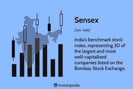 s p bse sen index definition and