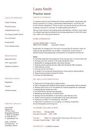 CV Example for Dental Nurse Job Applications   lettercv com