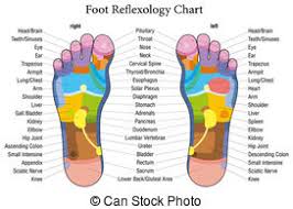 Foot Reflexology Chart German Descr Foot Reflexology Chart