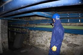 Asbestos Pigeon Guano Removal Old
