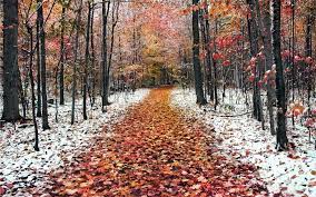 Snowy Autumn Wallpapers posted by Ryan Cunningham