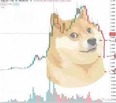 Dogecoin is a cryptocurrency based on the popular doge internet meme and features a shiba inu dogecoin is a litecoin fork. Elon Musk Dogecoin So Verruckt Ist Die Welt