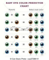 Baby Eye Color Predictor Chart