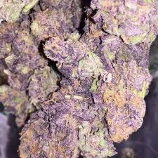 Three seconds… (1999), hooray for everything (2000), out of the band (2002), streaked (2004) and rutherford p. Purple Haze Strain Denver Big Buds