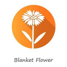 Blanket Flower Orange Flat Design Long