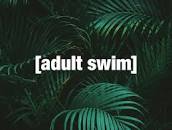 Image result for adult swim site:adultswim.com