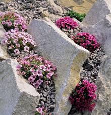 How To Create A Rock Garden