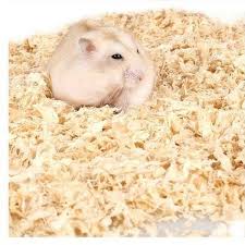 sawdust animals hamsters guinea