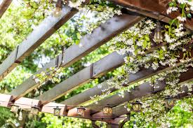 how much does a pergola cost in 2024