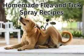5 recipes for flea and tick spray