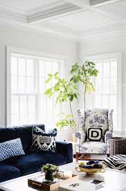 blue velvet sofa transitional
