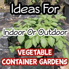 Vegetable Container Gardening Ideas For