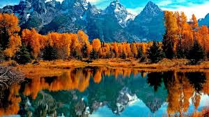Mountain Fall Foliage Wallpapers - Top Free Mountain Fall Foliage Backgrounds - WallpaperAccess