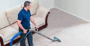 pet odor pet stains quality carpet