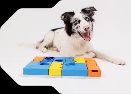 pawzler innovative modular dog puzzles