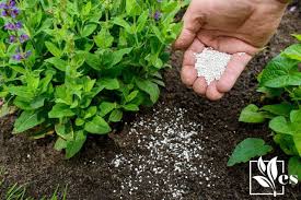 5 10 10 fertilizer your plants
