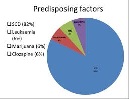 Pie Chart Depicting The Predisposing Factors To Ischemic