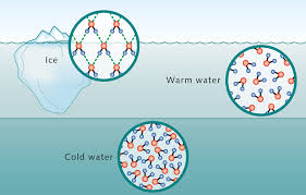 water a unique molecule world ocean