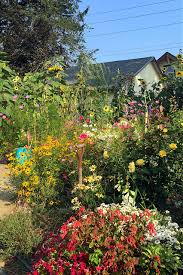 Pollinator Friendly Gardening Year Round
