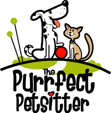 Image result for pet sitter