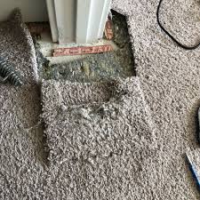 top 10 best carpet repair near kuna id