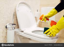 Maid Rubber Gloves Cleaning Toilet Cleaning Spray Hotel Restroom Interior —  Stock Photo © Nomadsoul1 #197538378