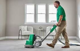 professional carpet cleaning removes