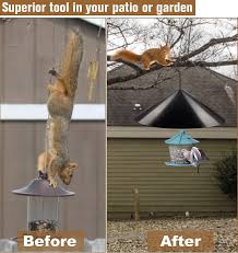 squirrel baffles for bird feeders