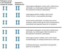 Genetic Modifiers