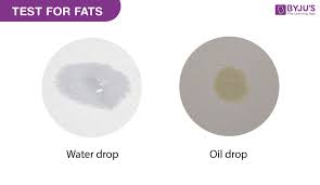 test for fats biology practicals for
