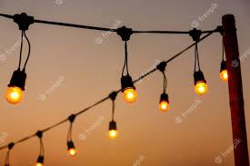 vintage light bulbs on string wire