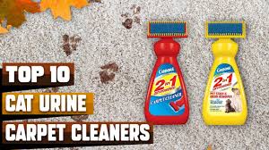best carpet cleaners for cat urine in